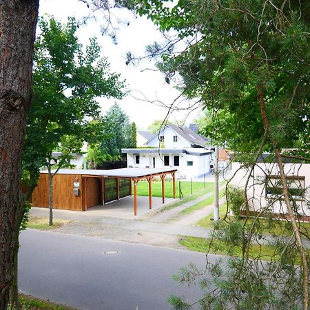 Haus Kleiner Findling Im Lausitzer Seenland Tätzschwitz 外观 照片