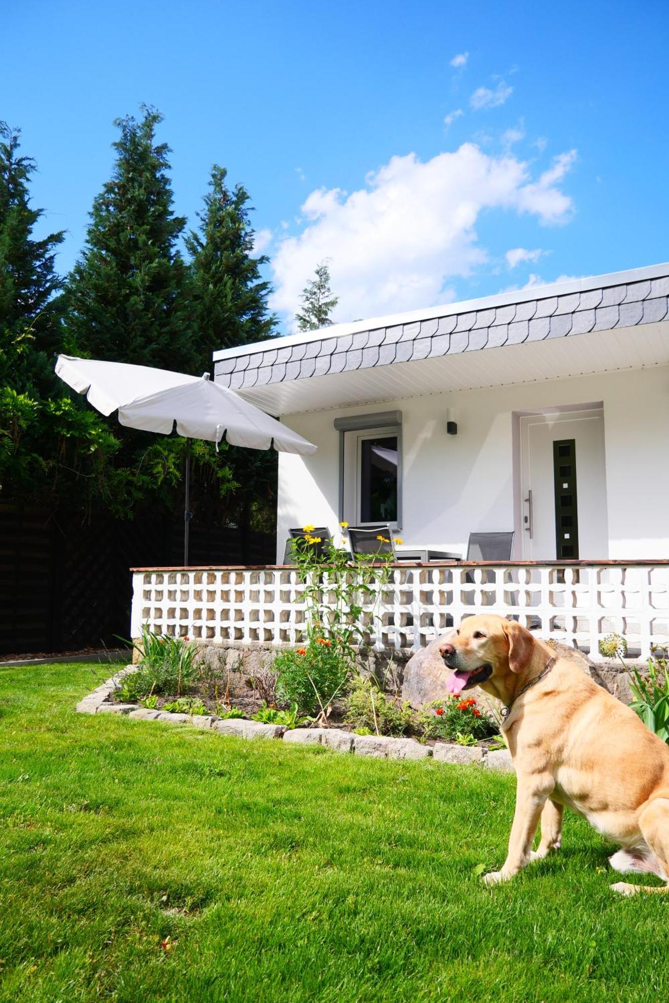 Haus Kleiner Findling Im Lausitzer Seenland Tätzschwitz 外观 照片