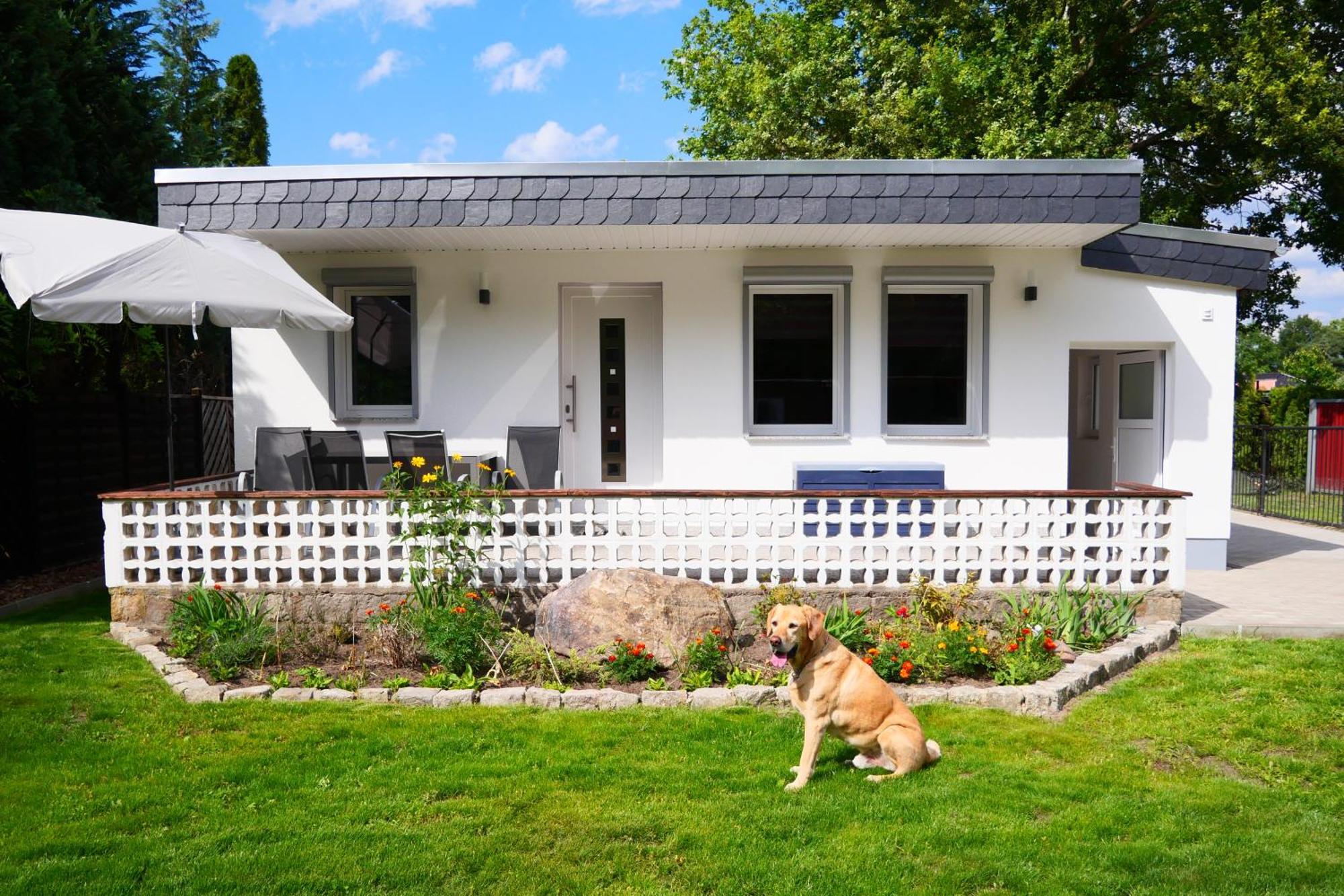 Haus Kleiner Findling Im Lausitzer Seenland Tätzschwitz 外观 照片